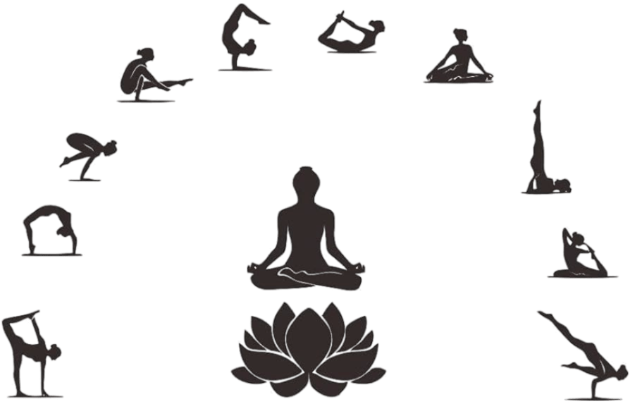 41nuyq-9eUL._AC_UF894,1000_QL80_